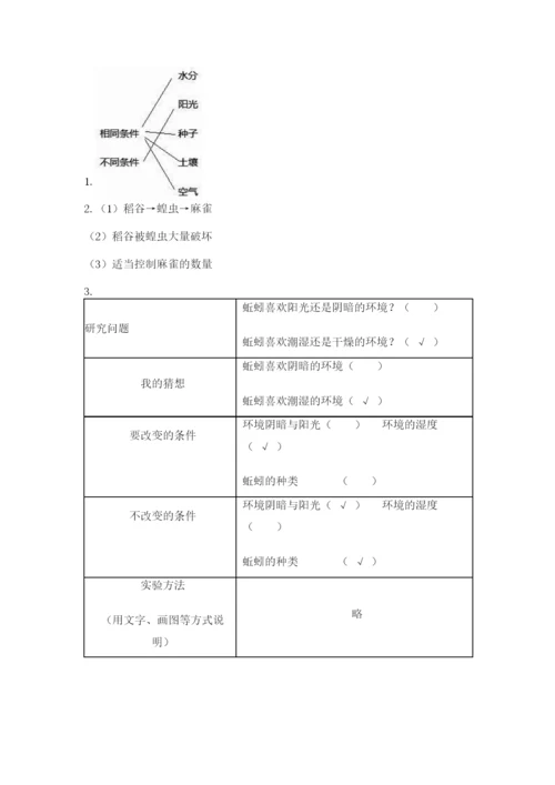 教科版科学五年级下册第一单元《生物与环境》测试卷（真题汇编）.docx