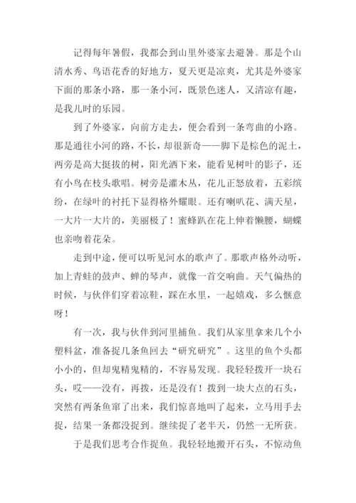 我的乐园作文-6.docx