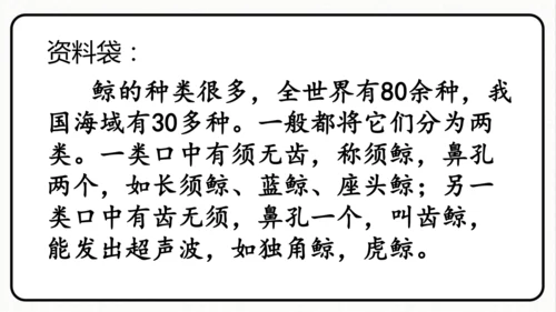 统编版语文五年级上册第五单元 习作例文《鲸》《风向袋的制作》 课件