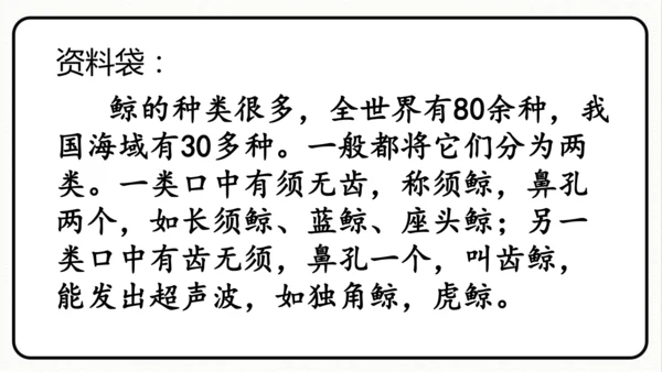 统编版语文五年级上册第五单元 习作例文《鲸》《风向袋的制作》 课件