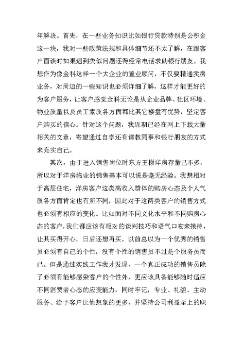 XX置业顾问个人年终总结