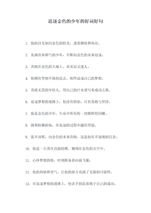 追逐金色的少年的好词好句