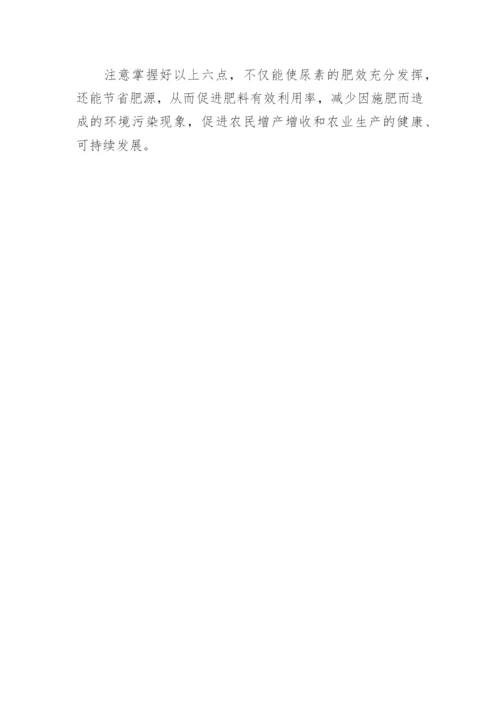 科学施用尿素的注意事项论文.docx