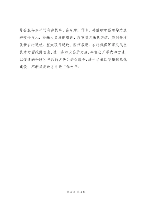 地方政务工作自查报告.docx