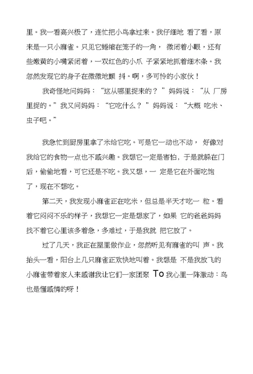 懂得道理的作文