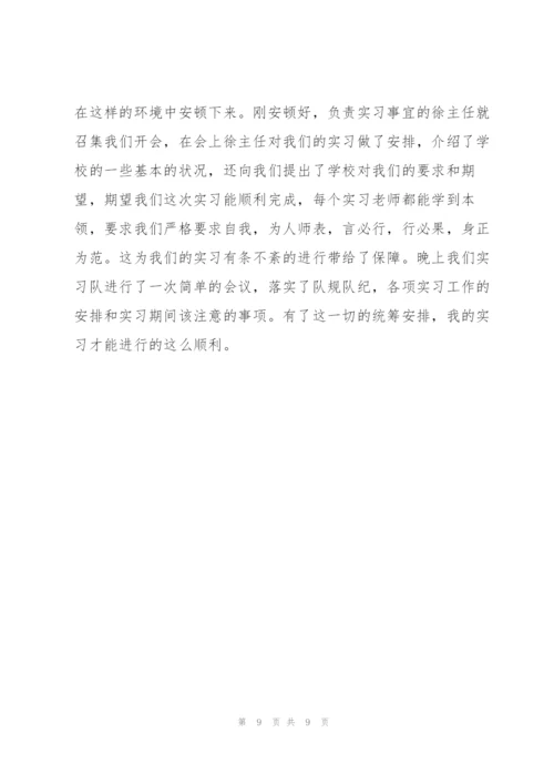 师范生个人顶岗实习总结范文.docx