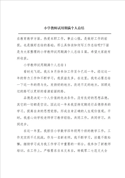 小学教师试用期满个人总结