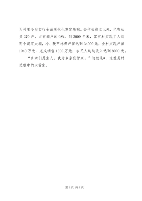 富有村党支部书记先进事迹材料.docx