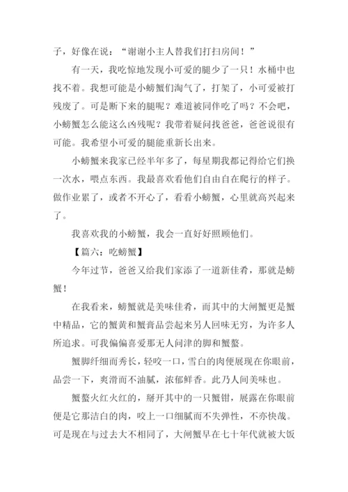 关于螃蟹的作文.docx