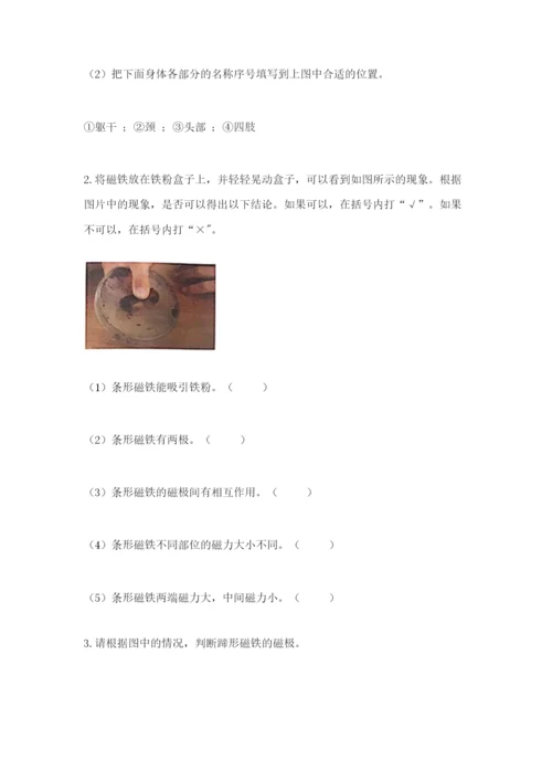 教科版小学科学二年级下册 期末测试卷附答案（满分必刷）.docx