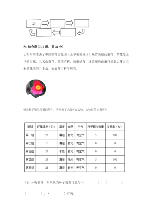 教科版科学四年级下册第一单元《植物的生长变化》测试卷【综合卷】.docx