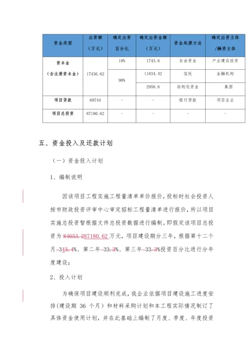 PPP综合项目融资专项方案案例.docx