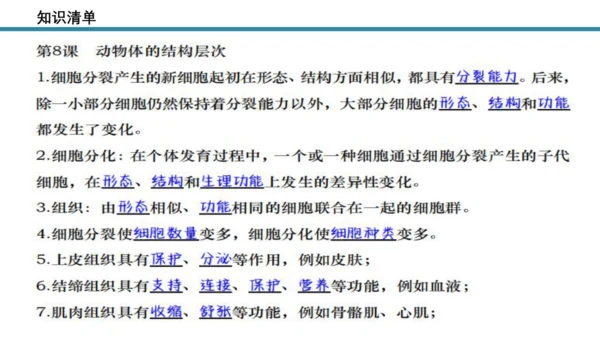 人教版生物七年级上册第一单元《生物与细胞》单元复习课件(共53张PPT)