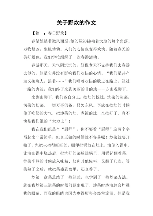 关于野炊的作文.docx