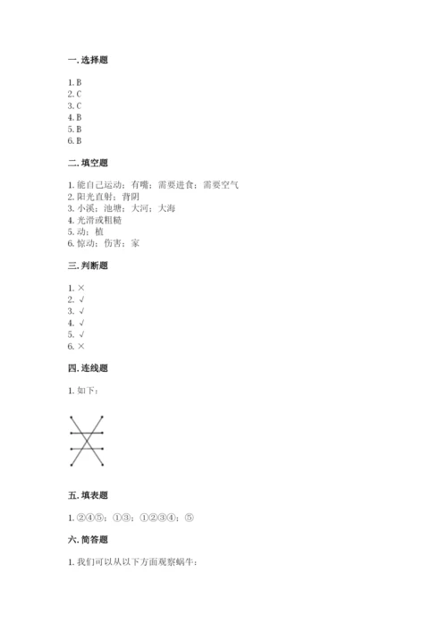教科版小学科学一年级下册期末测试卷word版.docx