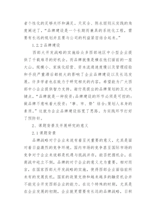 品牌发展战略毕业论文开题报告.docx