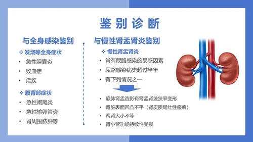 医疗风医疗泌尿系感染PPT模板