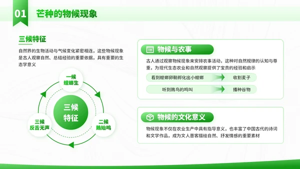 绿色插画风走进芒种节气知识与教学应用PPT模板