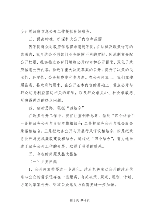 乡镇政府信息公开年终总结.docx