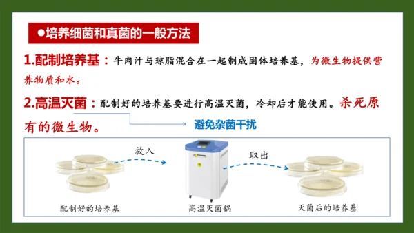 人教版生物七年级上册2.3.1《微生物的分布》（教学课件）(共37张PPT)+视频素材