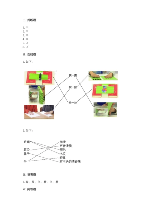 教科版科学二年级上册《期末测试卷》精品（考点梳理）.docx
