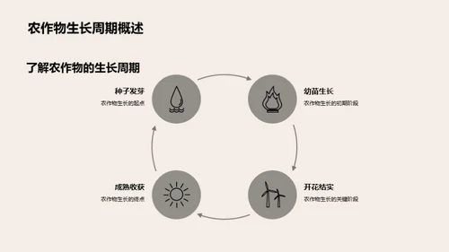 精通农作物生长之道