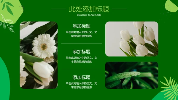 绿色小清新通用PPT演示模板