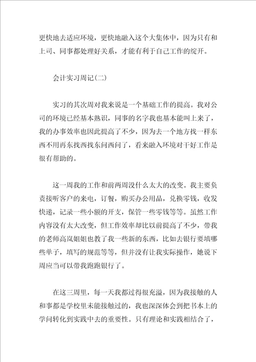 最新财务公司会计实习周记