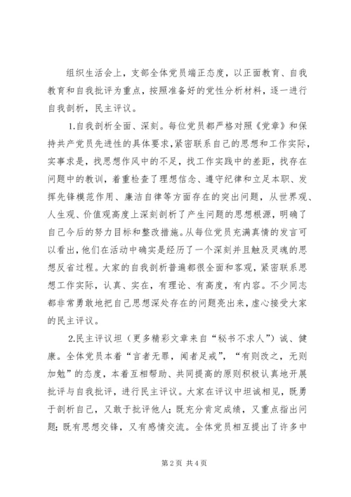 水利局党支部专题组织生活会情况汇报 (3).docx