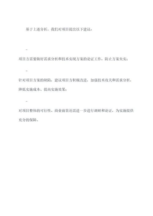 项目书评审报告模板
