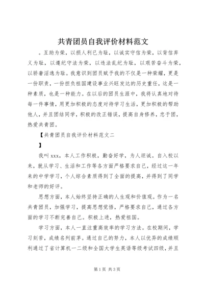 共青团员自我评价材料范文.docx