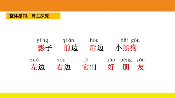 5 影子  课件