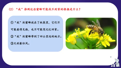 统编版三年级语文下学期期中核心考点集训第四单元（复习课件）