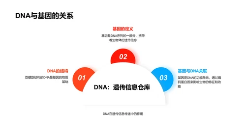 基因与遗传教学PPT模板