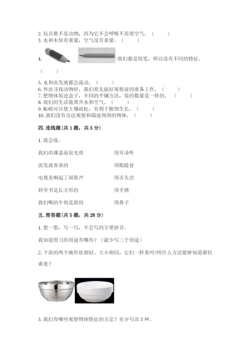 教科版一年级下册科学期末测试卷及参考答案【综合卷】.docx