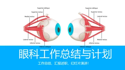 眼科工作总结与计划动态PPT