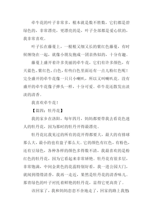 关于花的作文150字.docx