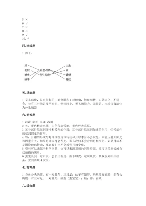 教科版科学三年级下册 期末测试卷精品（b卷）.docx