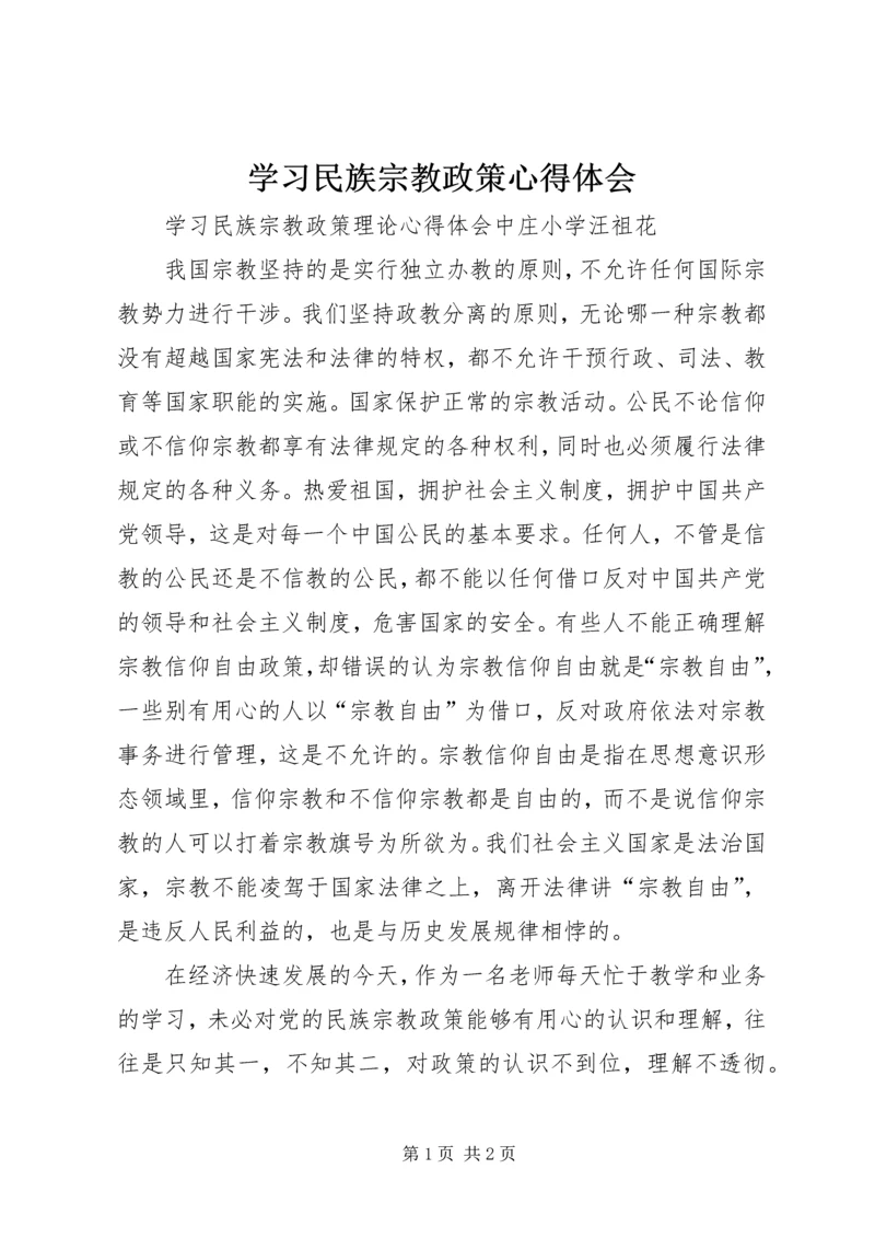 学习民族宗教政策心得体会.docx