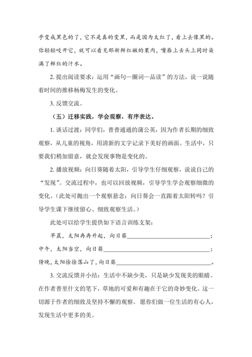 《16 金色的草地(第二课时)》教学设计