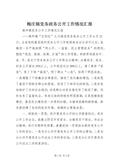 梅庄镇党务政务公开工作情况汇报 (2).docx