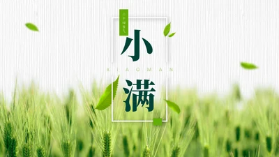 小满——禾苗青苗稻谷嫩芽通用PPT模板