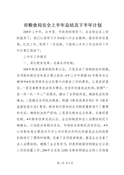 市粮食局安全上半年总结及下半年计划.docx