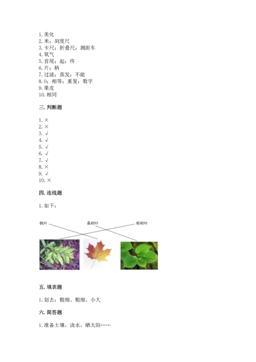 教科版一年级上册科学期末测试卷审定版.docx