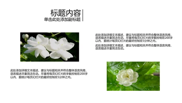 开头视频片头好一朵茉莉花ppt动态模板