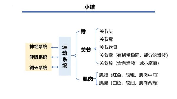 人教版生物八年级上册5.2.1 动物的运动 课件(共34张PPT)+视频素材