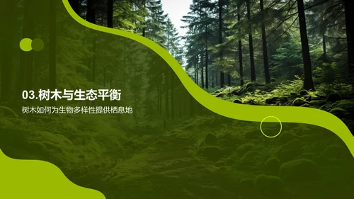 树木的生态密码