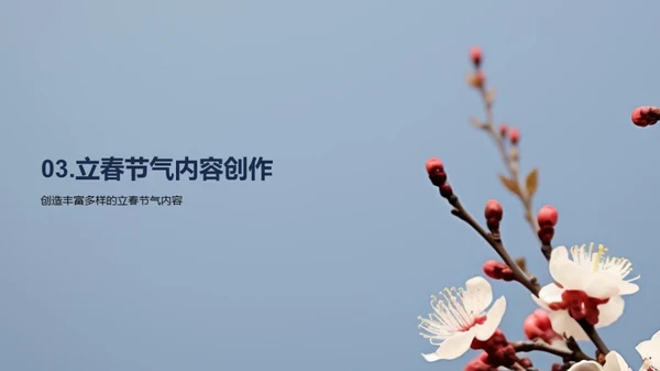 立春节气新媒传播
