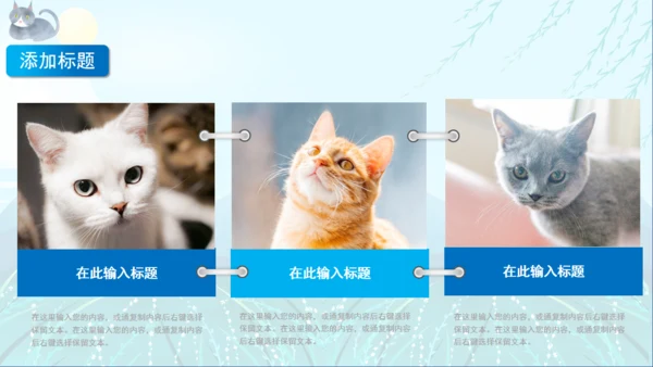 宠物猫咪喵喵成长通用PPT画册