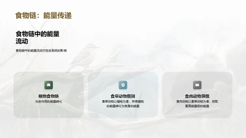 水墨风教育培训教学课件PPT模板